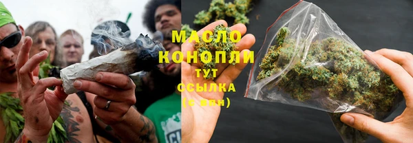гашик Семилуки