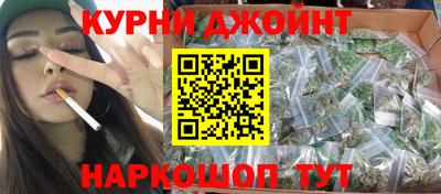 сатива Краснознаменск