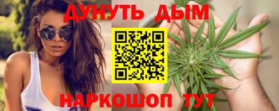сатива Краснознаменск