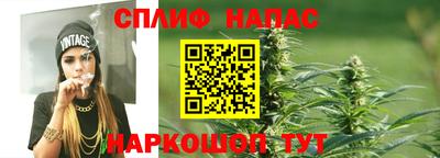 сатива Краснознаменск