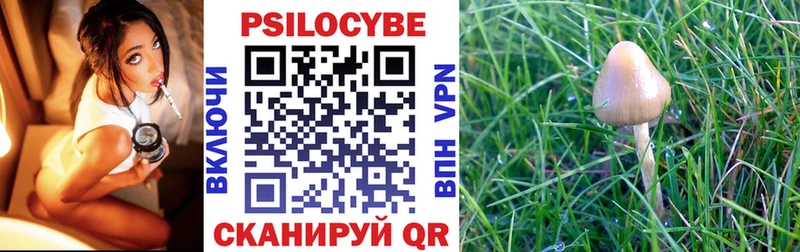 Псилоцибиновые грибы Psilocybe  Касимов 