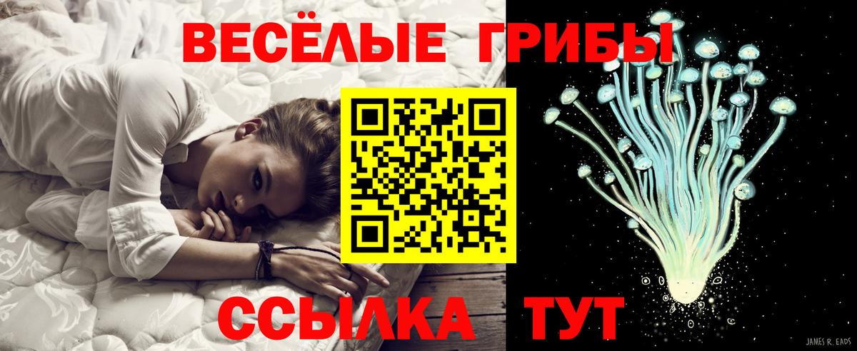 Псилоцибиновые грибы мицелий  Галлюциногенные грибы MAGIC MUSHROOMS  Касимов  Вход с VPN 