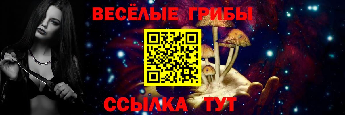Псилоцибиновые грибы Psilocybe Касимов